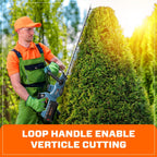 60V 26 Cordless Hedge Trimmer, Brushless (3.0 Ah Battery & Charger Included)
