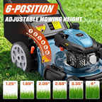 201cc Gas Lawn Mower, 22 Single-Speed Self-Propelled Mower