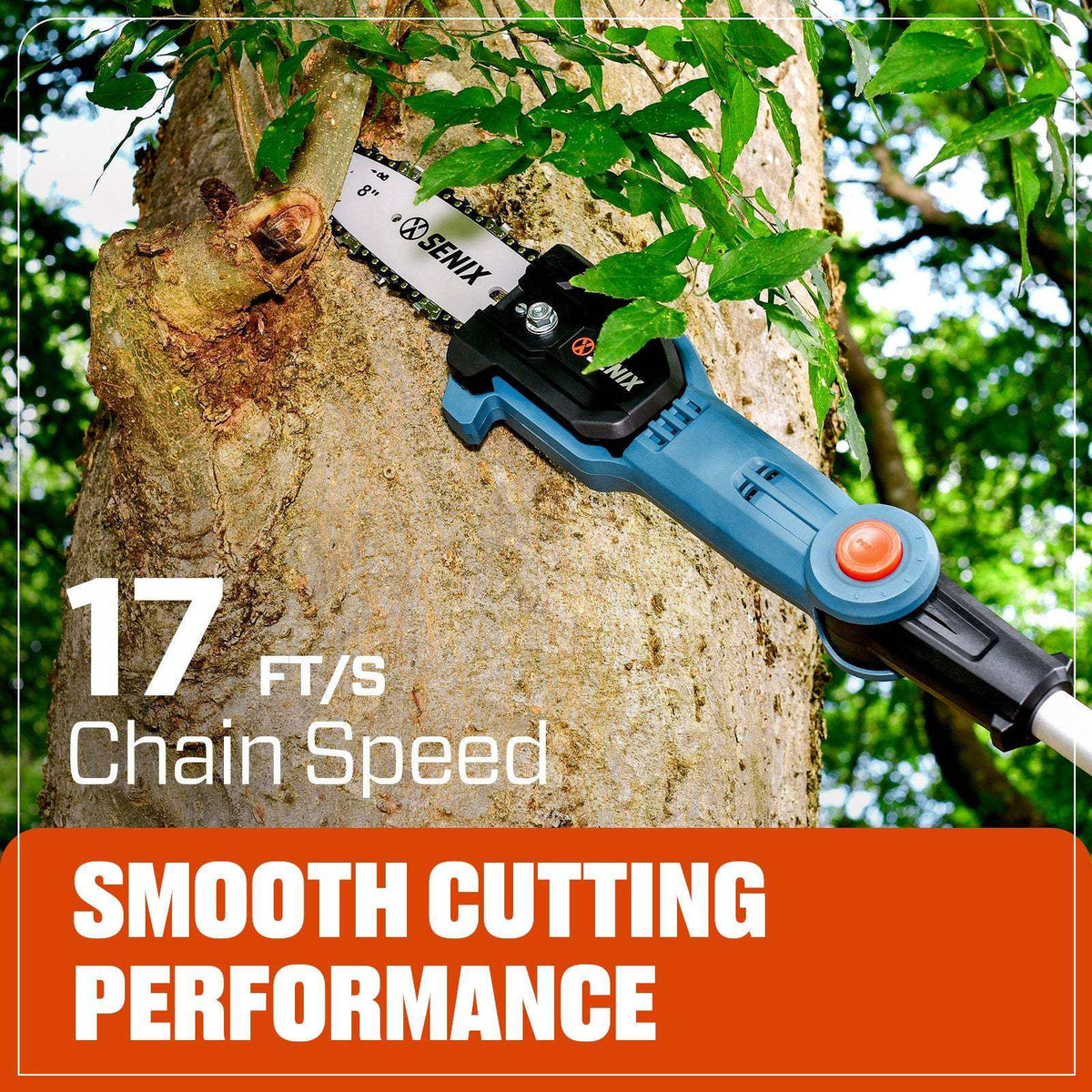 20V Max* 8 Cordless Pole Saw, Brushless