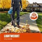 Buy Nugget Ice Maker, Get FREE Electric Leaf Blower