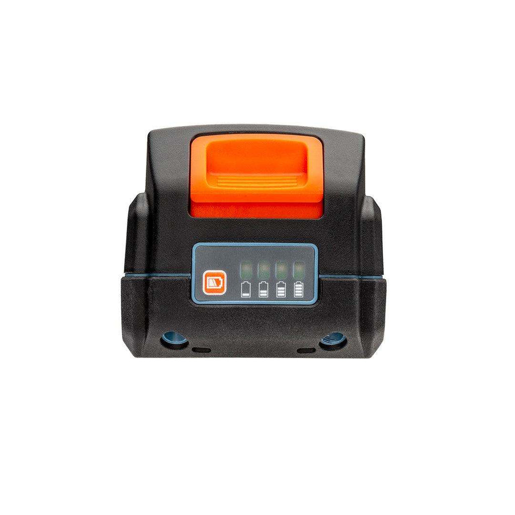 20V Max* 5.0 Ah Lithium-Ion Battery, B50X2