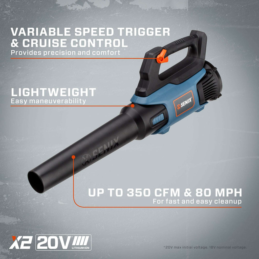 20V Max* 3-Tool Cordless Combo Kit, 10 String Trimmer, Leaf Blower & 18 Hedge Trimmer (2.0 Ah & 4.0 Ah Batteries & Charger Included)