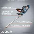 20V 3-Tool Cordless Combo Kit, 10 String Trimmer, Leaf Blower & 18 Hedge Trimmer (2.0 Ah & 4.0 Ah Batteries & Charger Included)