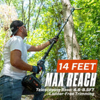 60V 10 Cordless Pole Saw, Brushless (3.0 Ah Battery & Charger Included)