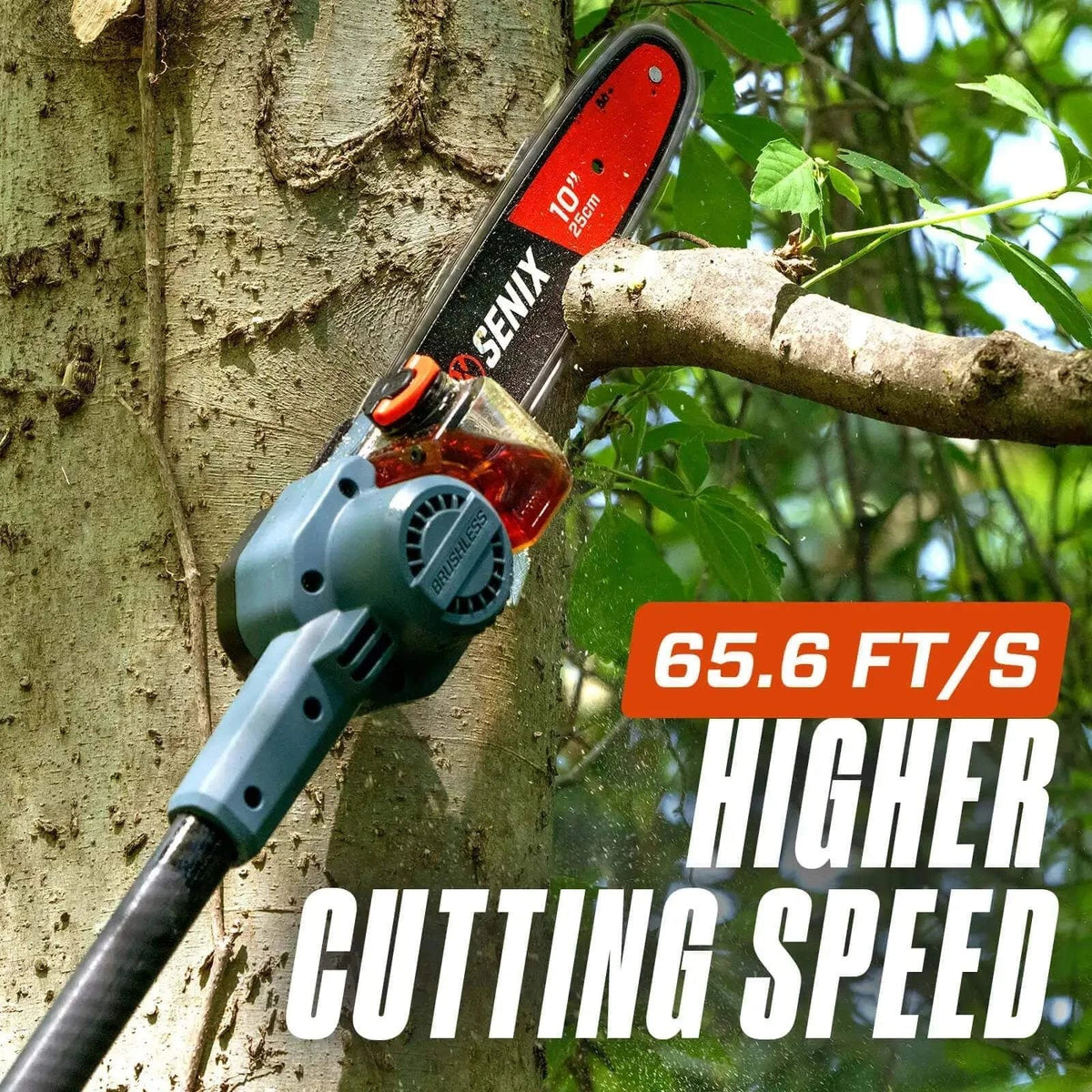 60V Max* 10 Cordless Pole Saw, Brushless (3.0 Ah Battery & Charger Included)